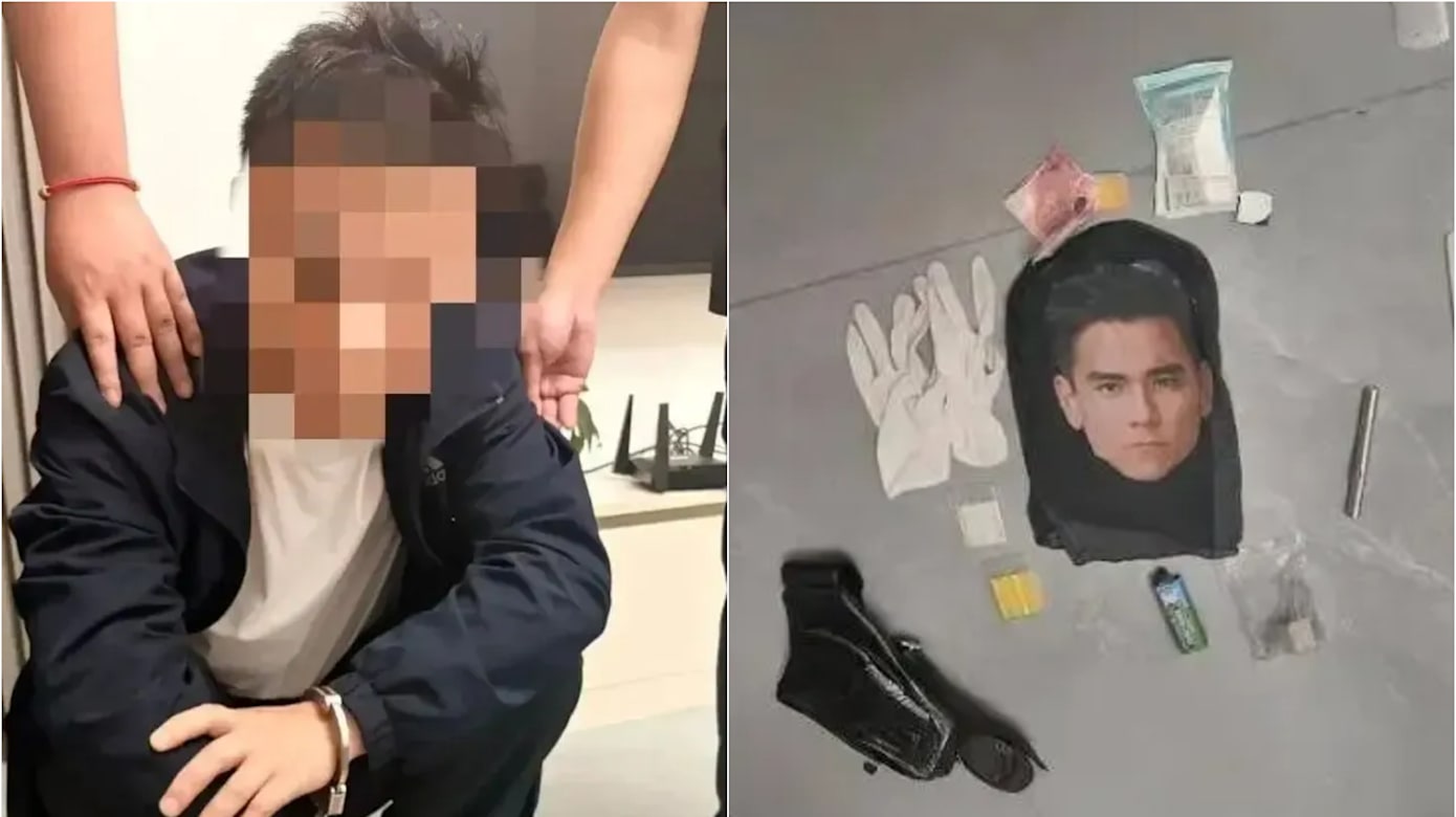 戴“彭于晏”头套入屋行窃 男子见监控吓跑当天落网