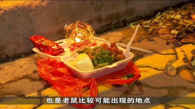祭祀仪式留下食物 使鼠患问题加剧