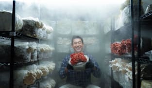 The Mushroom Whisperer