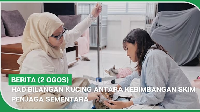 BERITA (2 Ogos) | Had bilangan kucing antara kebimbangan skim penjaga sementara
