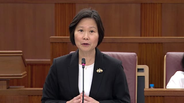 颜晓芳：为更好应对领事事务 外交部正加强能力建设