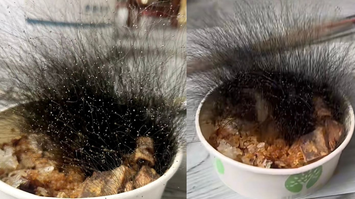 牛肉饭遗忘半个月长满黑毛 宁波男子开工惊见异状