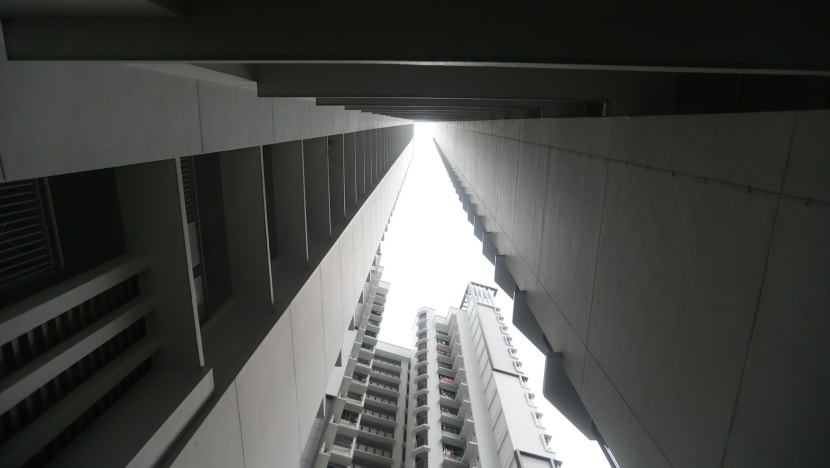 Private developers may be involved in Vers scheme: Lawrence Wong