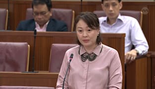 Diana Pang on Road Traffic (Miscellaneous Amendments) Bill