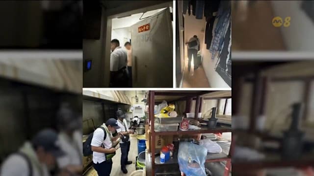 环境局去年约1300次执法 重点整治小印度鼠患