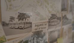 Secret Lives Of Trees - S1E1: The Angsana Plague