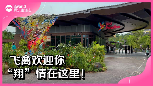飞禽欢迎你　“翔”情在这里！