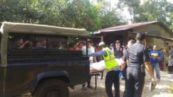 Related article image