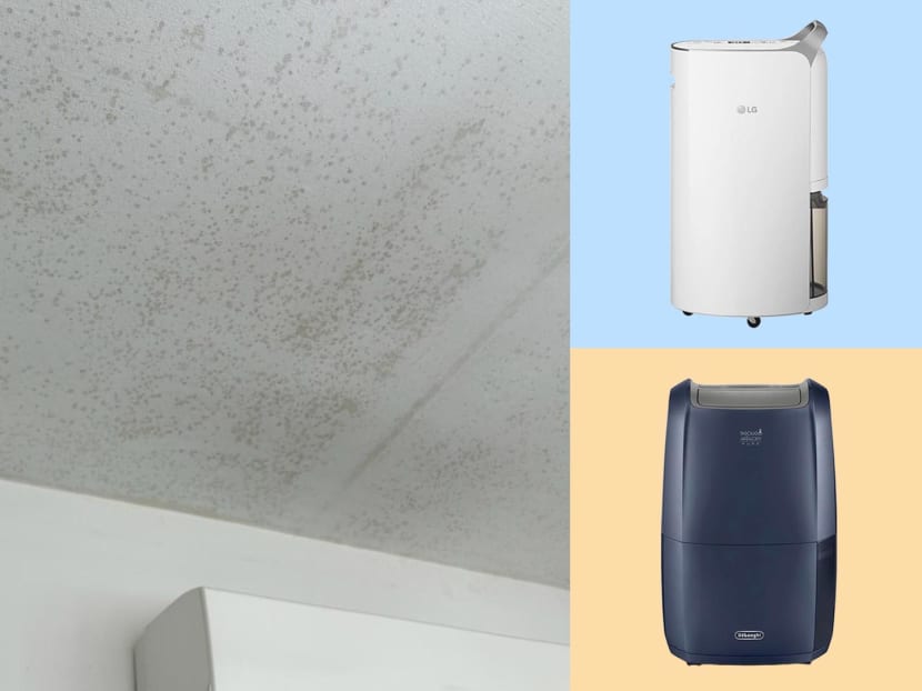 Best dehumidifiers to buy to prevent mould growth at home — so you don’t have to spend S$2,000 on mould removal like I did Best dehumidifiers to buy to prevent mould growth at home — so you don’t have to spend S$2,000 on mould removal like I did
