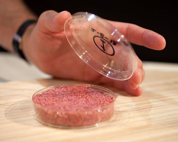 Can you swallow the idea of lab-grown meat?