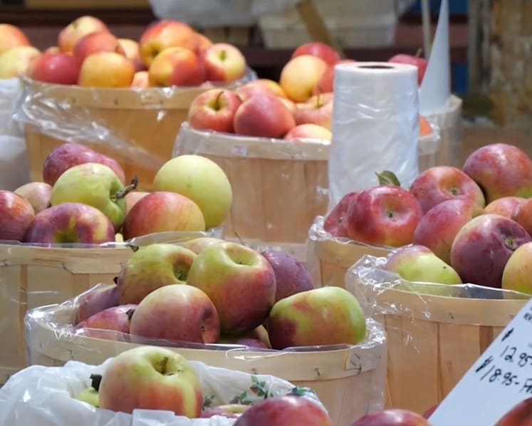 New York apple farms face downpour of challenges as climate change threatens billion-dollar industry