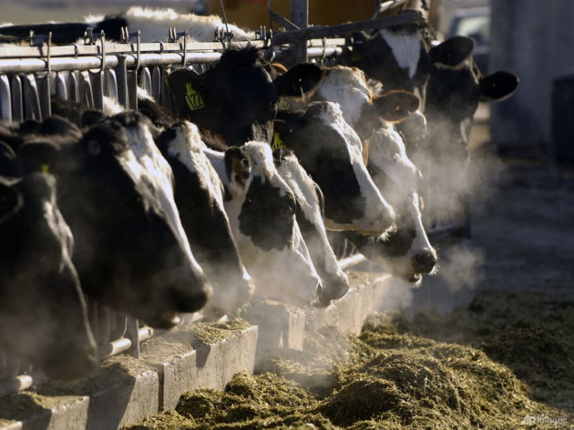 The way we eat could add nearly 1 degree of warming by 2100