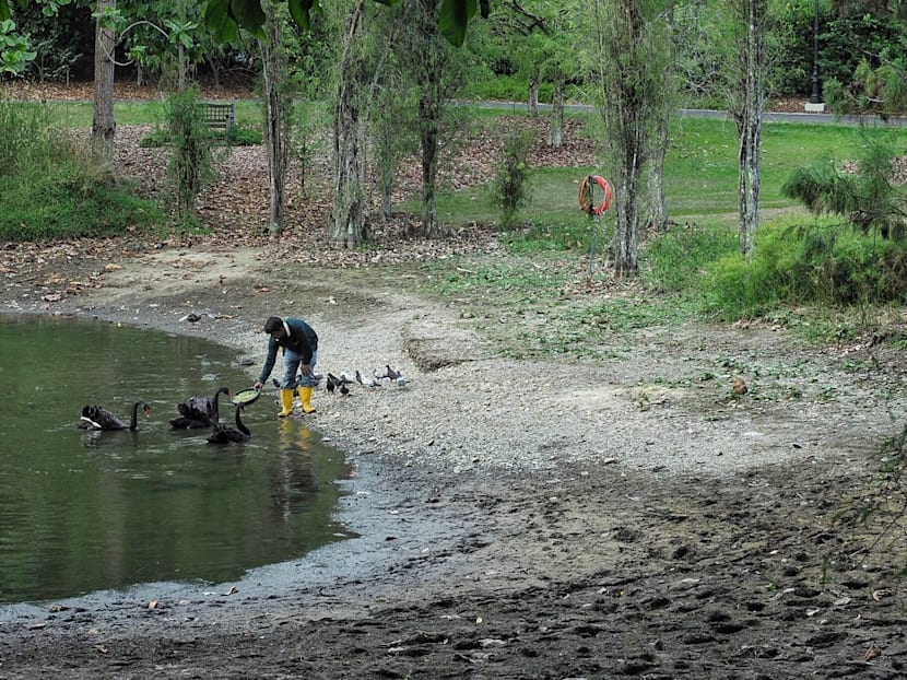 Lessons in public policy from the Botanic Gardens