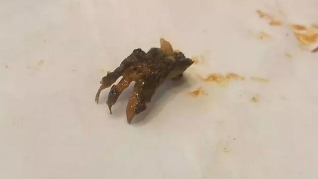 英国女子吃咖喱惊见“动物小脚” 主厨坚称是黑豆寇 
