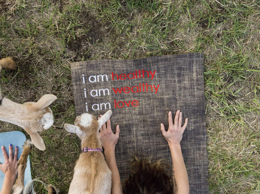 Bring a yoga mat and an open mind. Goats are provided