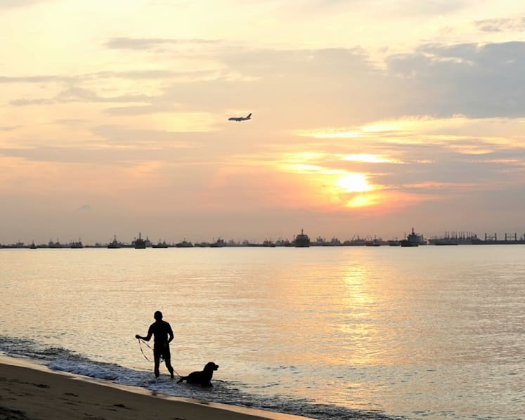 Rising sea levels to affect property values? Not if the Govt has solutions planned, say analysts