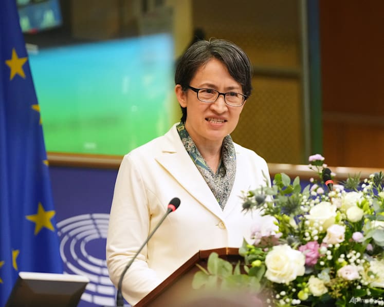 Taiwan's Vice-President Hsiao makes rare address to international lawmakers at European Parliament