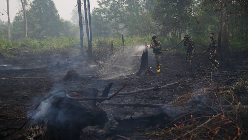 ‘Not as easy as one might imagine’: Poor visibility, wild animals hamper firefighting in Indonesia