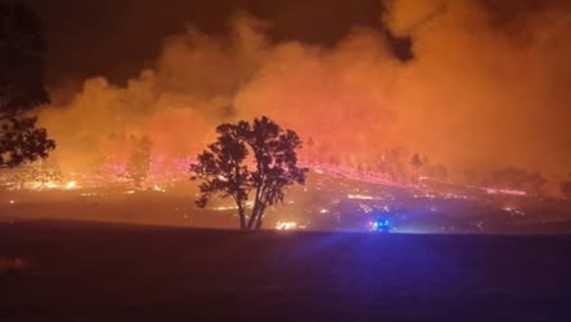 Heatwave Fuels Destructive Bushfires in South Australia, Destroying Homes and Leaving Tens of Thousands Without Power