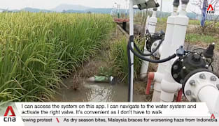 Extreme weather: How China is using technology to make crops more climate-resilient