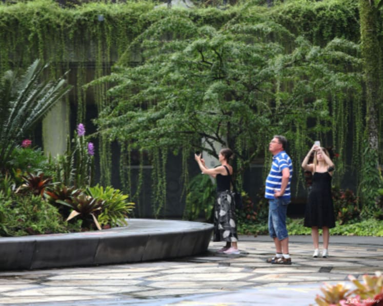 The Big Read: Fancy spending weeks on a tropical island? Singapore aims to shed 'stopover' tag amid tourism market shifts