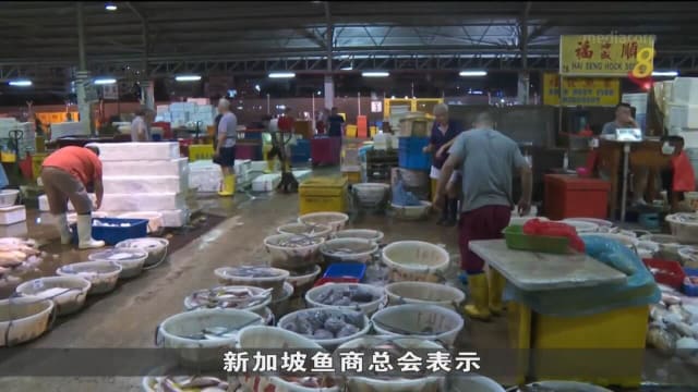 本地市场渔获供应充足 价格比上两周下跌至少一成