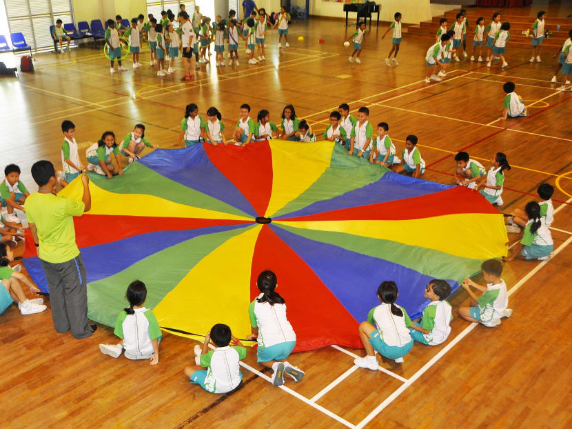 Niche scheme in primary schools being gradually phased out