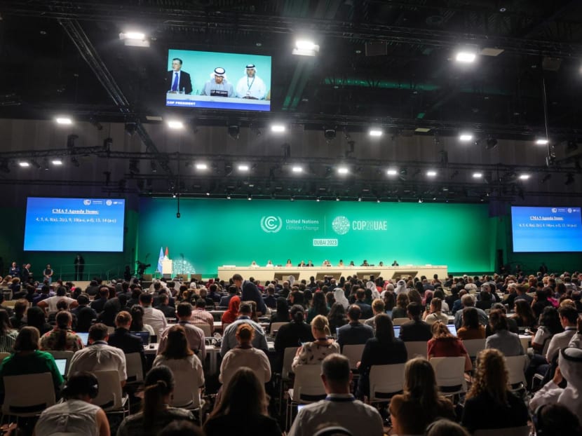 Participants attend a COP28 a plenary session at the United Nations climate summit in Dubai on Dec 13, 2023