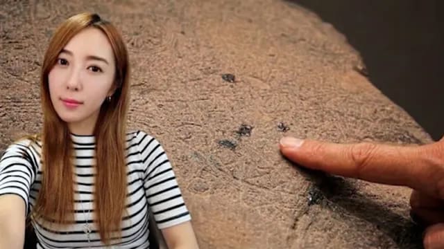 753年日本国宝佛足石被五熊泼油　药师寺成功修复、拉大防护距离