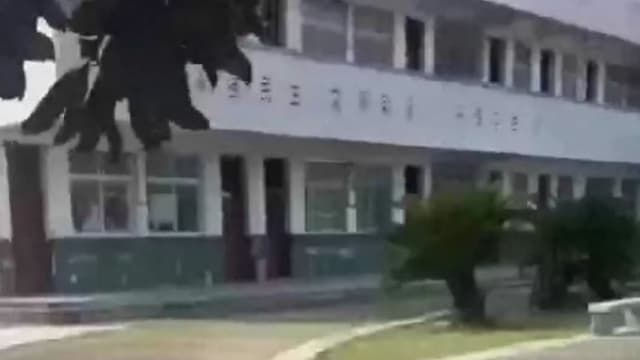 校园车祸！中国三名小学生卷入车底 一死二伤