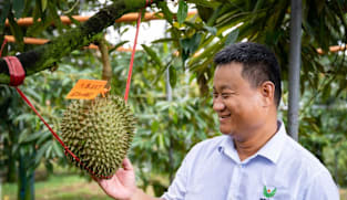 Can China grow its own durians?
