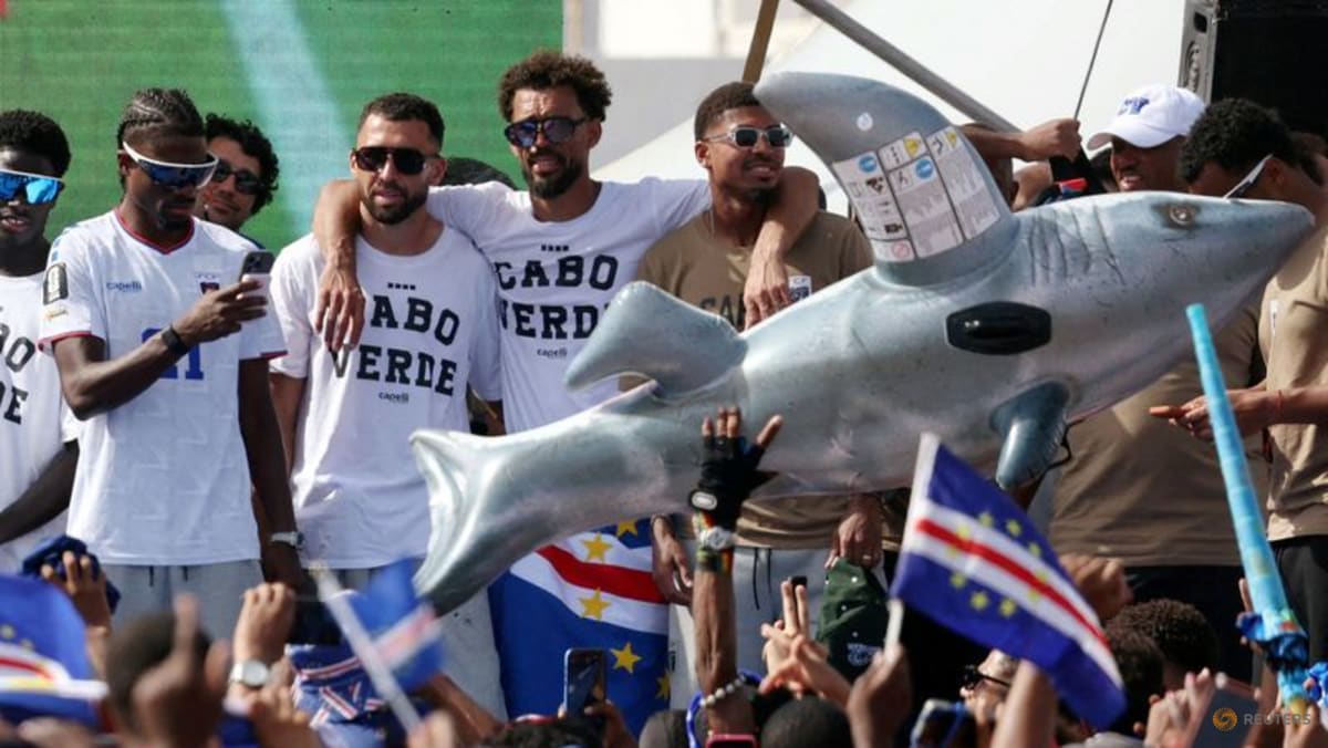 Cape Verde's Lopes welcomed back to Ireland ahead of TV punditry spot