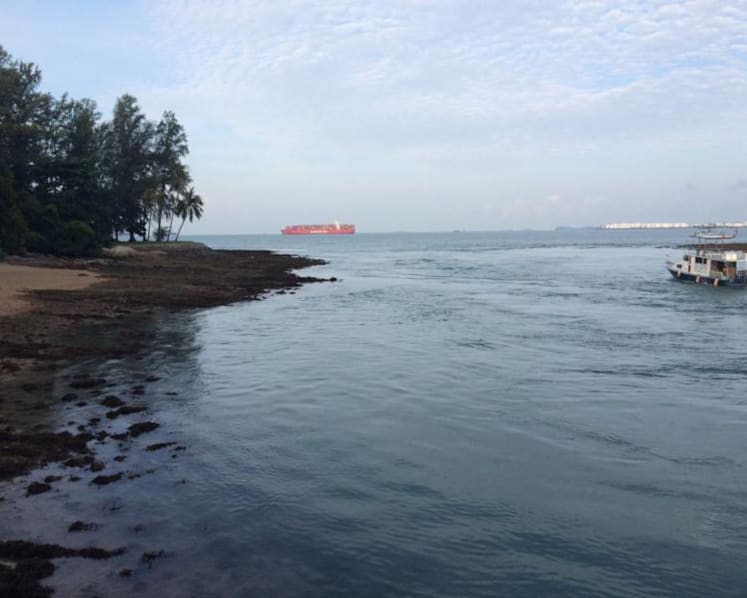 First dive trail in Singapore opens at Sisters’ Islands