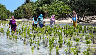 ‘Ini rumah kami’: Perjuangan perempuan Pulau Pari di tengah pusaran sengketa lahan
