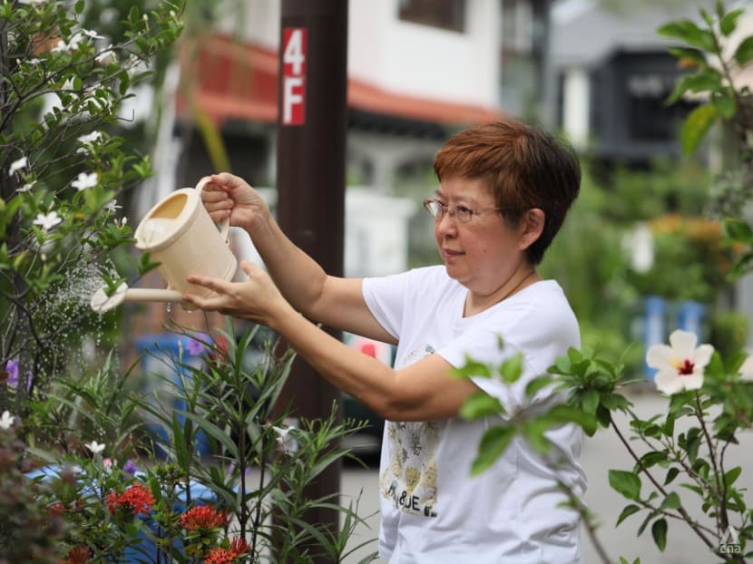From Our Backyard: This seasoned home gardener grows her vegetables in repurposed plastic cups