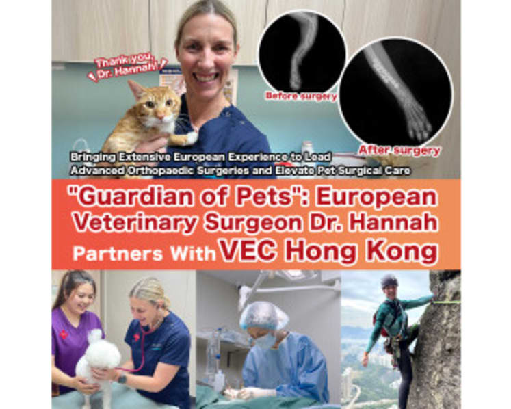 "Veterinary Orthopedic Guardian": European Veterinary Surgeon Dr. Hannah Partners With VEC Hong Kong