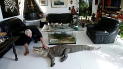 Related article image