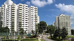 Related article image
