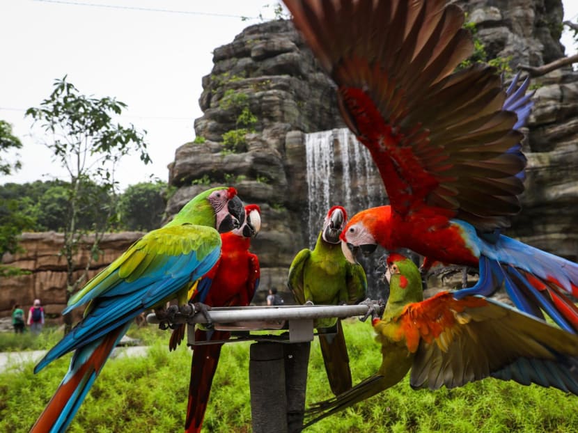 Bird Paradise Map
