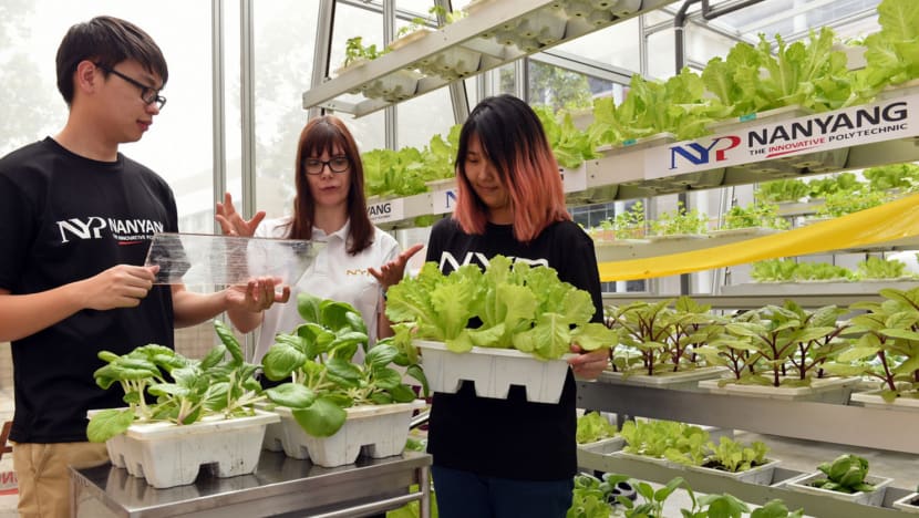 NYP team develops glowing breakthrough for food farming