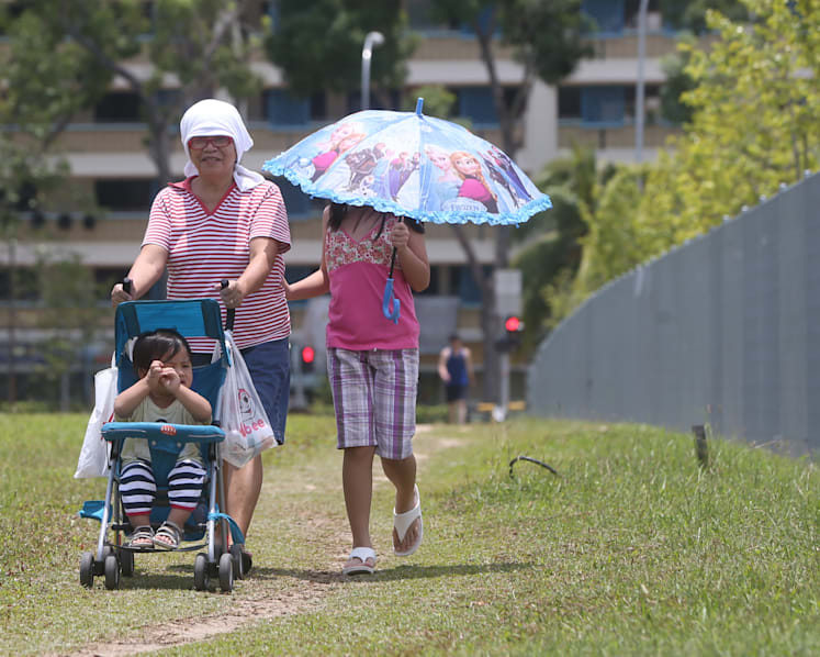 S’pore temperatures rising at double the global average