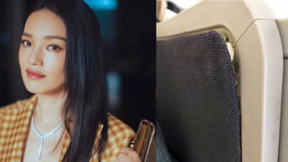 Shu Qi Terrified By Rowdy Passenger Mid-Flight