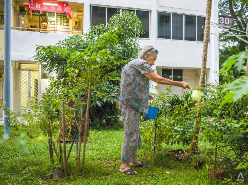 For old folks, leaving Tanglin Halt is like losing a kampung family. Can it be replaced? For old folks, leaving Tanglin Halt is like losing a kampung family. Can it be replaced?