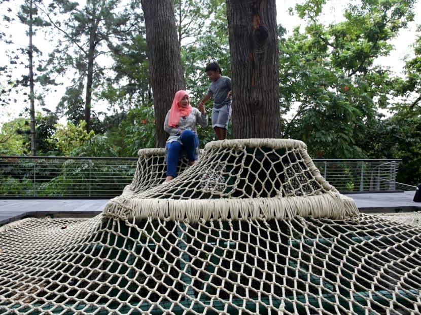 Gallery: New Learning Forest opens at Singapore Botanic Gardens