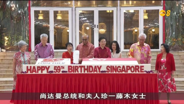 尚达曼总统上任以来 首个国庆招待会在总统府举办