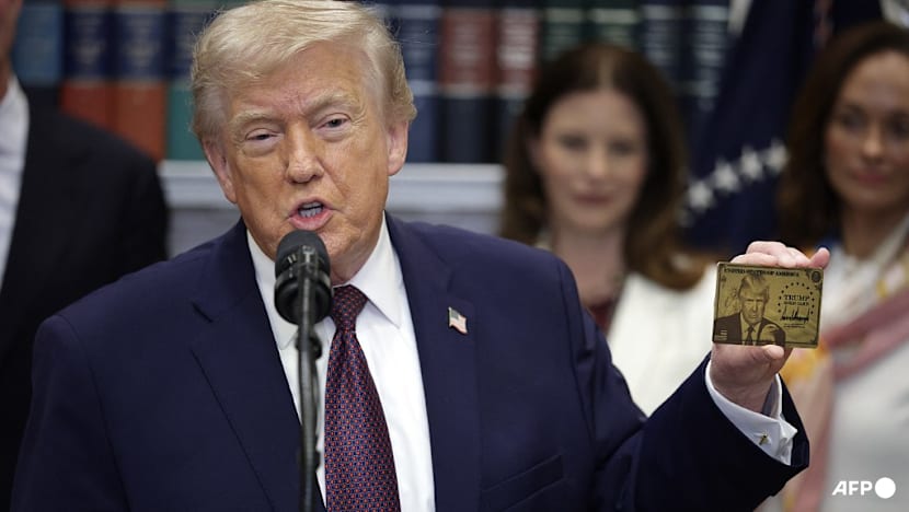Trump 'gold card' visa granted to one person so far: US commerce chief