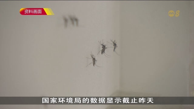 本地单周骨痛热症病例回升 突破100起