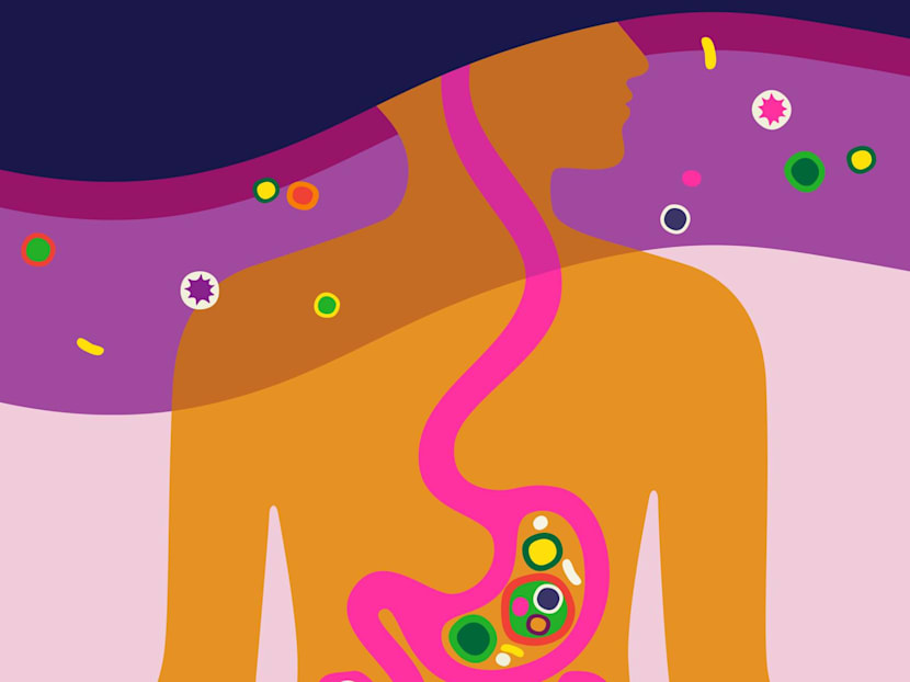 Feeling foggy and tired? Your gut health may be affecting your brain