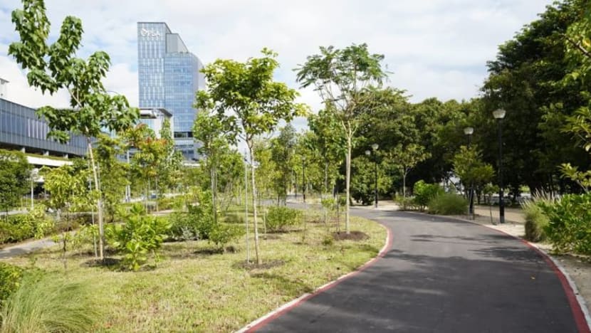 NParks buka bahagian pertama Taman Pasir Panjang hari ini