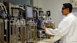 Related article image